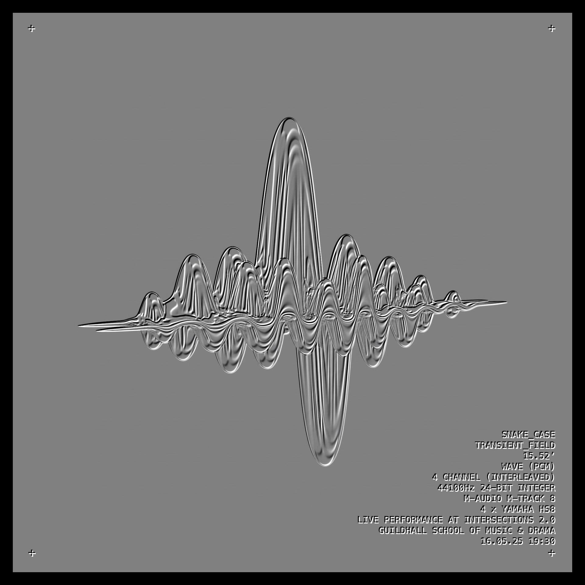 TRANSIENT_FIELD