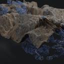 Vortex Flow