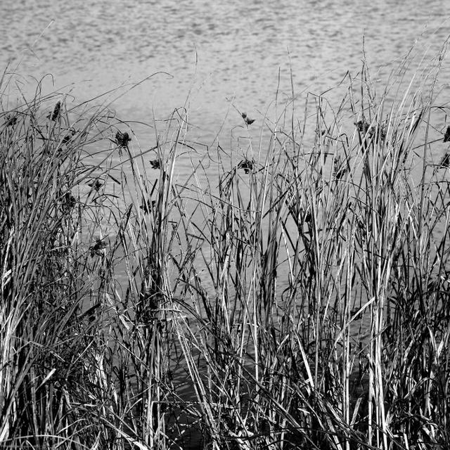 Beneath the Surface